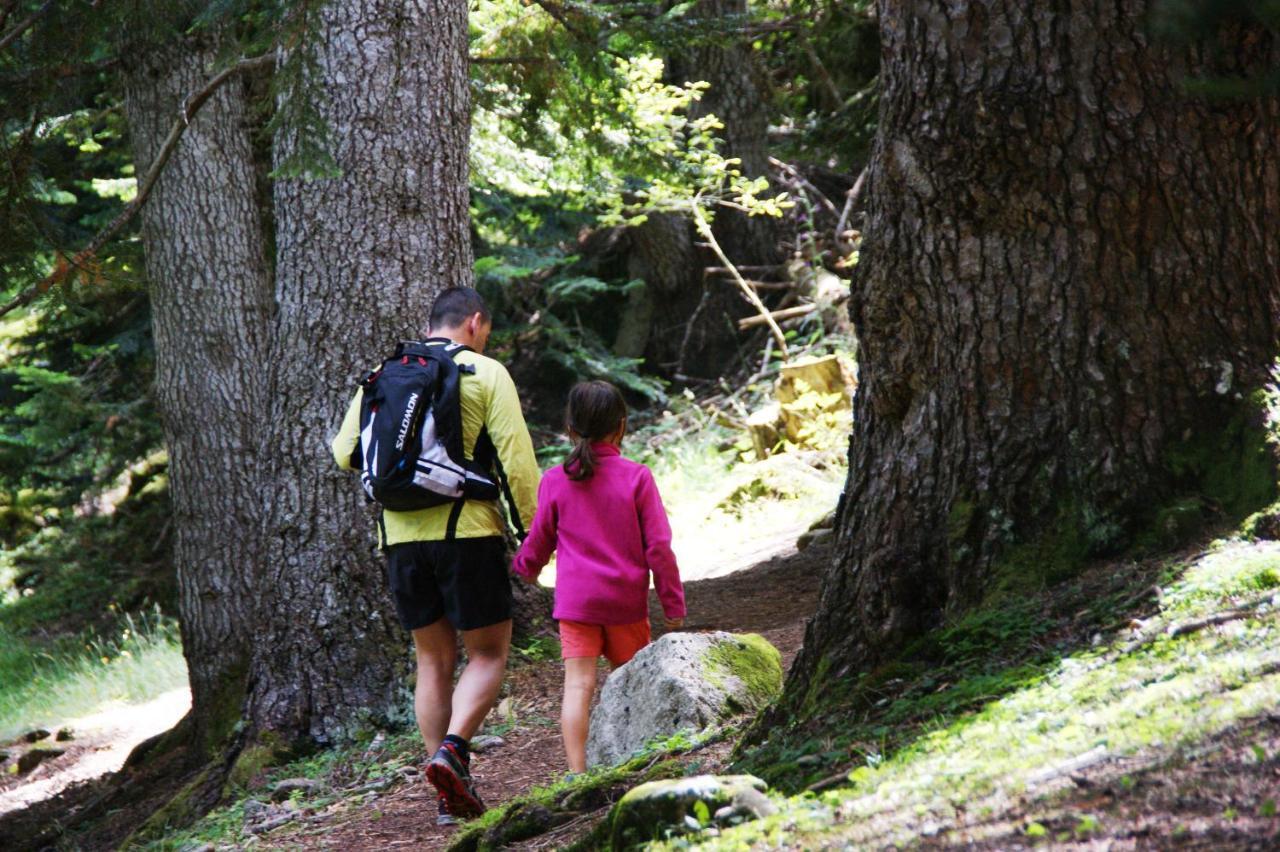 Aiguestortes Camping Resort Esterri d'Àneu Eksteriør billede